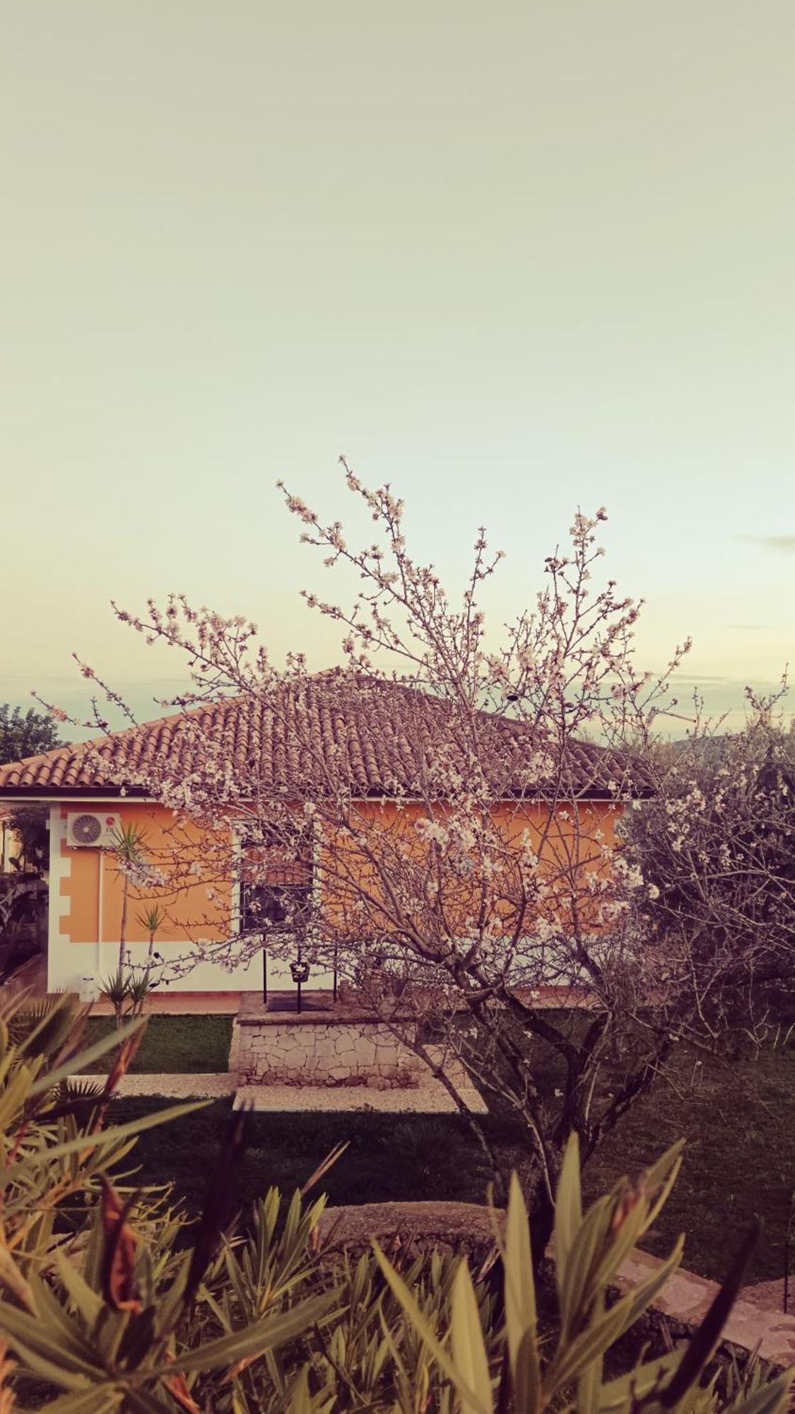 Villa Leonardo Canicattini Bagni エクステリア 写真